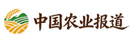 中部新闻网